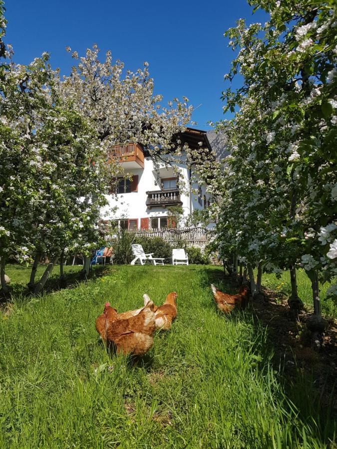 Ferienwohnung Lafreid Algund Exteriér fotografie